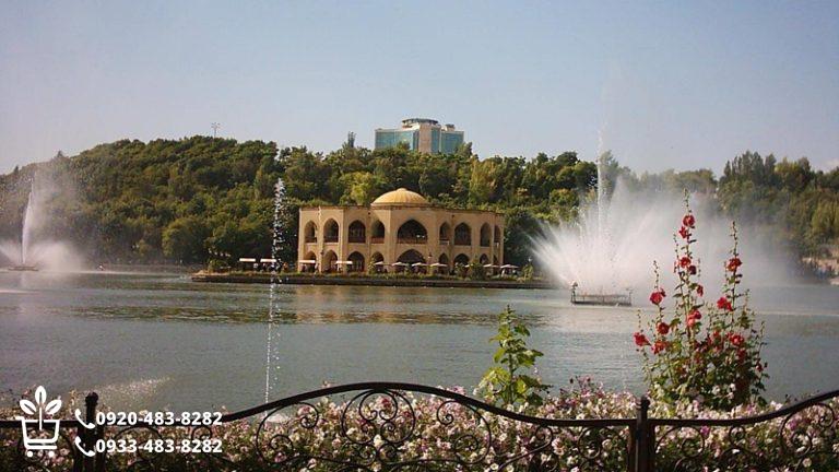 راهنمای کامل خرید نهال در تبریز