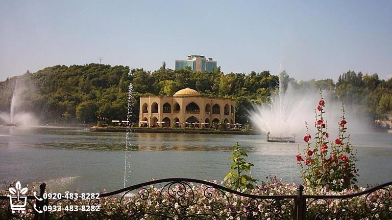 خرید نهال در تبریز