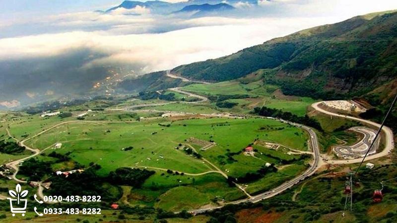 خرید نهال در سرعین