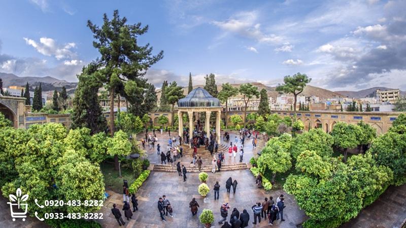 خرید نهال در شیراز