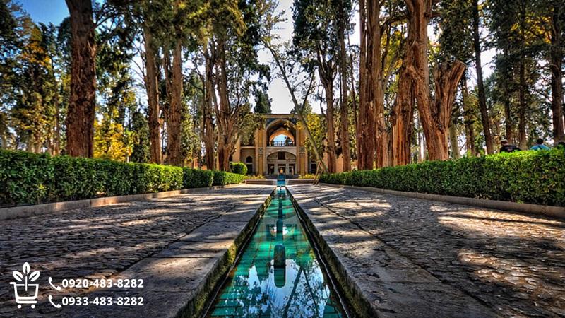 خرید نهال در کاشان