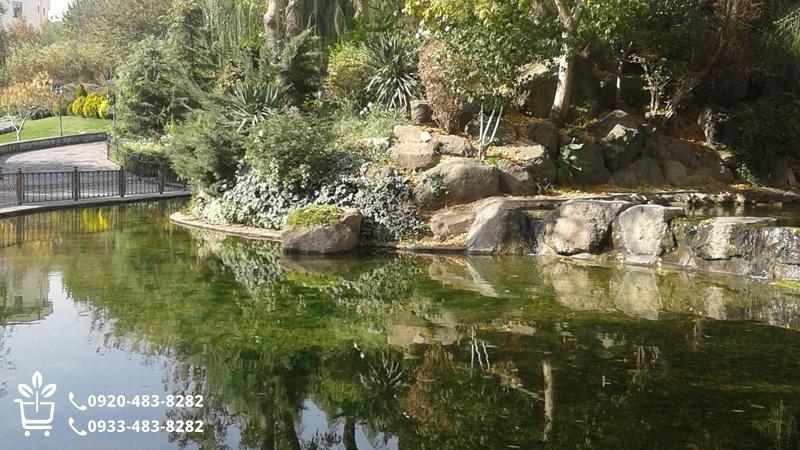 خرید نهال در کرج