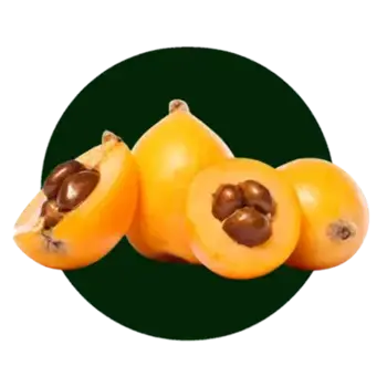 خرید نهال ازگیل