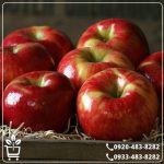 قیمت نهال سیب قرمز فرانسه