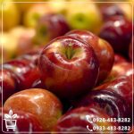 خرید نهال سیب قرمز فرانسه