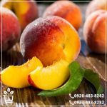 کاشت نهال هلو آلبرتا