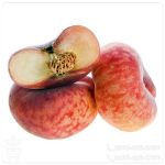 خرید نهال هلو انجیری پلنگی