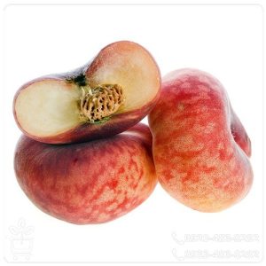 خرید نهال هلو انجیری پلنگی