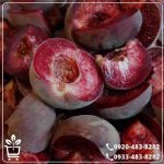 قیمت نهال هلو خونی