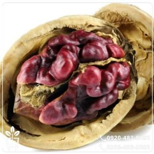 آبیاری نهال گردو تو سرخ