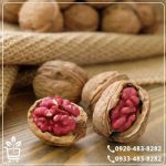 خرید نهال گردو تو سرخ