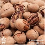 قیمت نهال گردو پکان