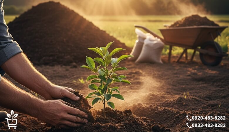 چگونه خاک مناسب برای نهال خود را بشناسیم